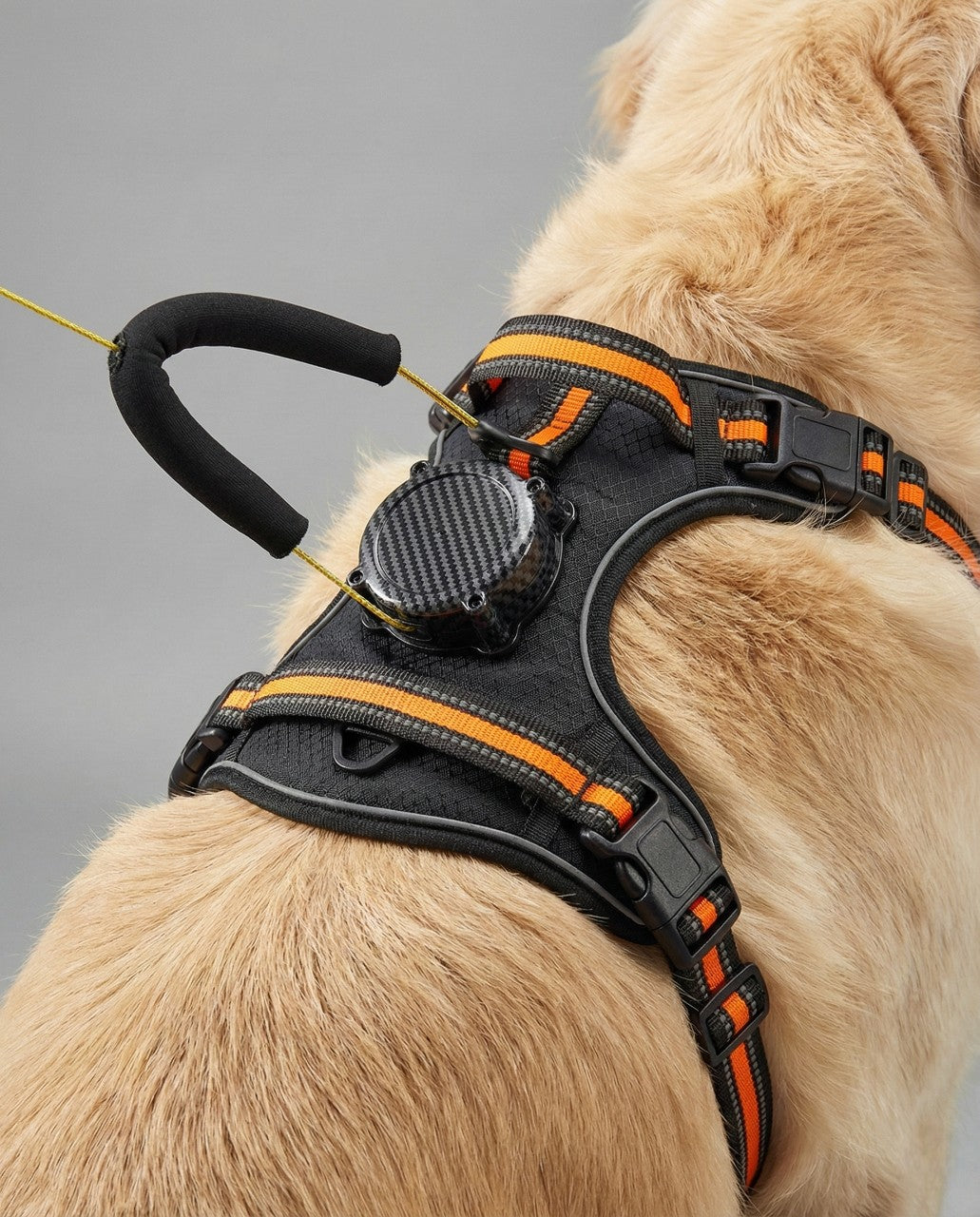 PawFusion™ Dog Harness & Leash Set